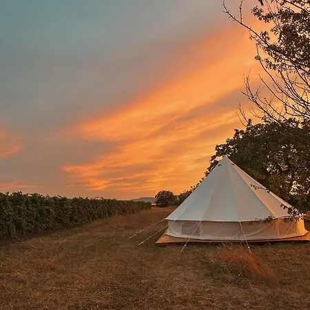 Luksusowy namiot Bojanovska Glamping *