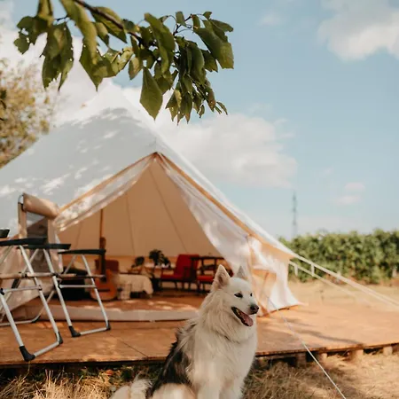 Luksusowy namiot Bojanovska Glamping Velké Pavlovice