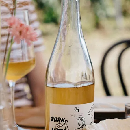 Bojanovska Glamping 豪华帐篷