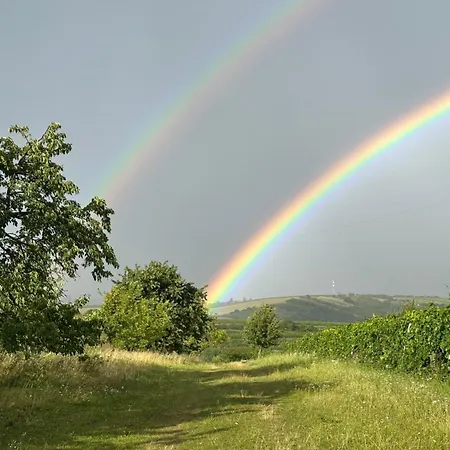 Bojanovska Glamping Luksustelt